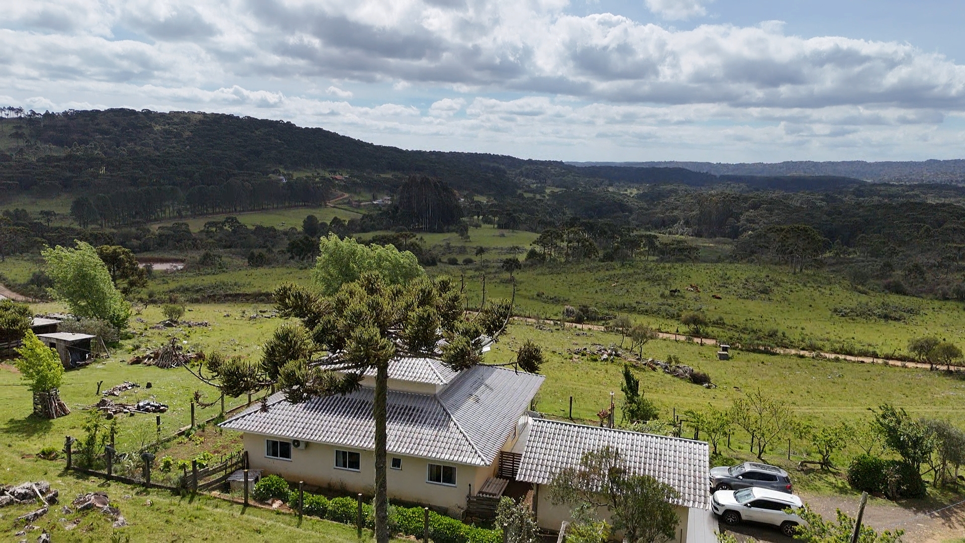 dji_fly_20251024_143111_0_1761327071318_photo_low_quality