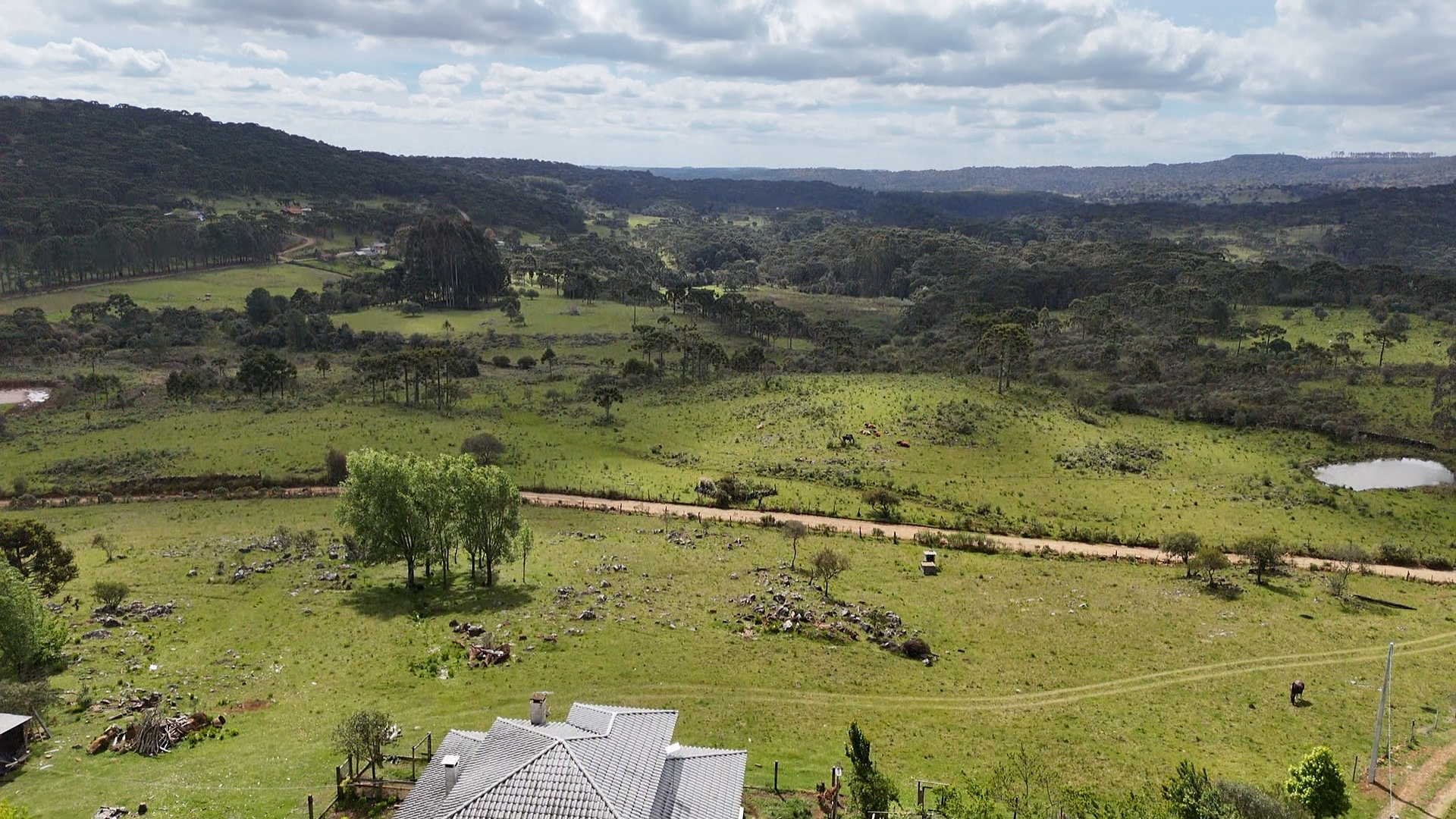 dji_fly_20251024_143123_0_1761327083281_photo_low_quality