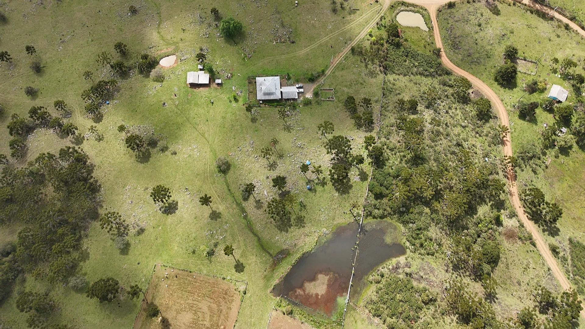 dji_fly_20251024_143229_0_1761327149287_photo_low_quality