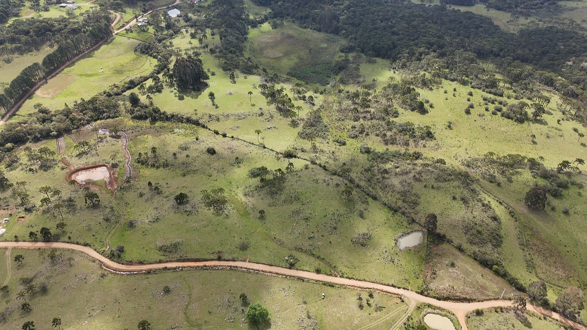 dji_fly_20251024_143235_0_1761327155321_photo_low_quality