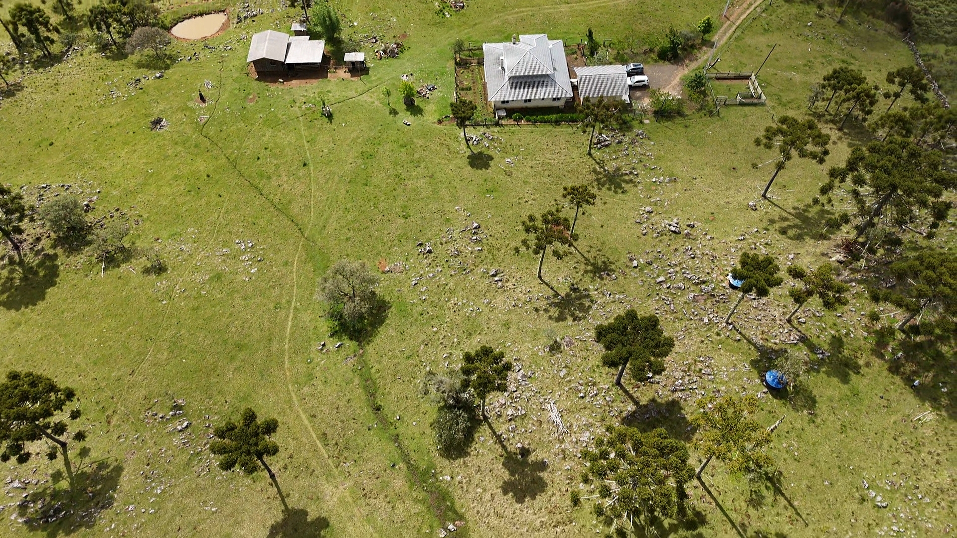 dji_fly_20251024_143320_0_1761327200477_photo_low_quality